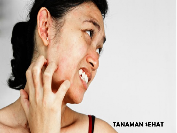 khasiat tanaman